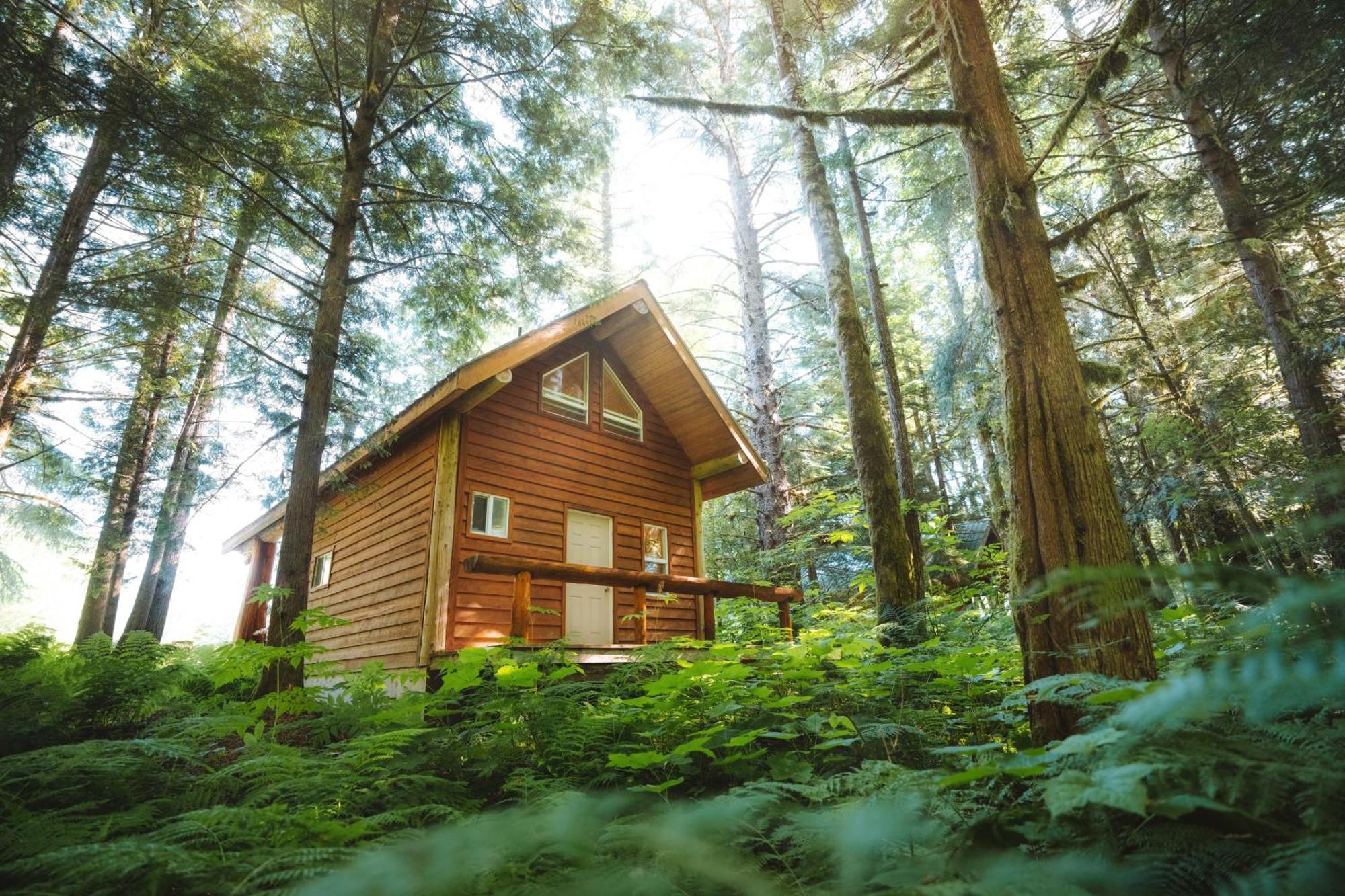 Bella Coola Grizzly Tours And Resort Hagensborg Экстерьер фото