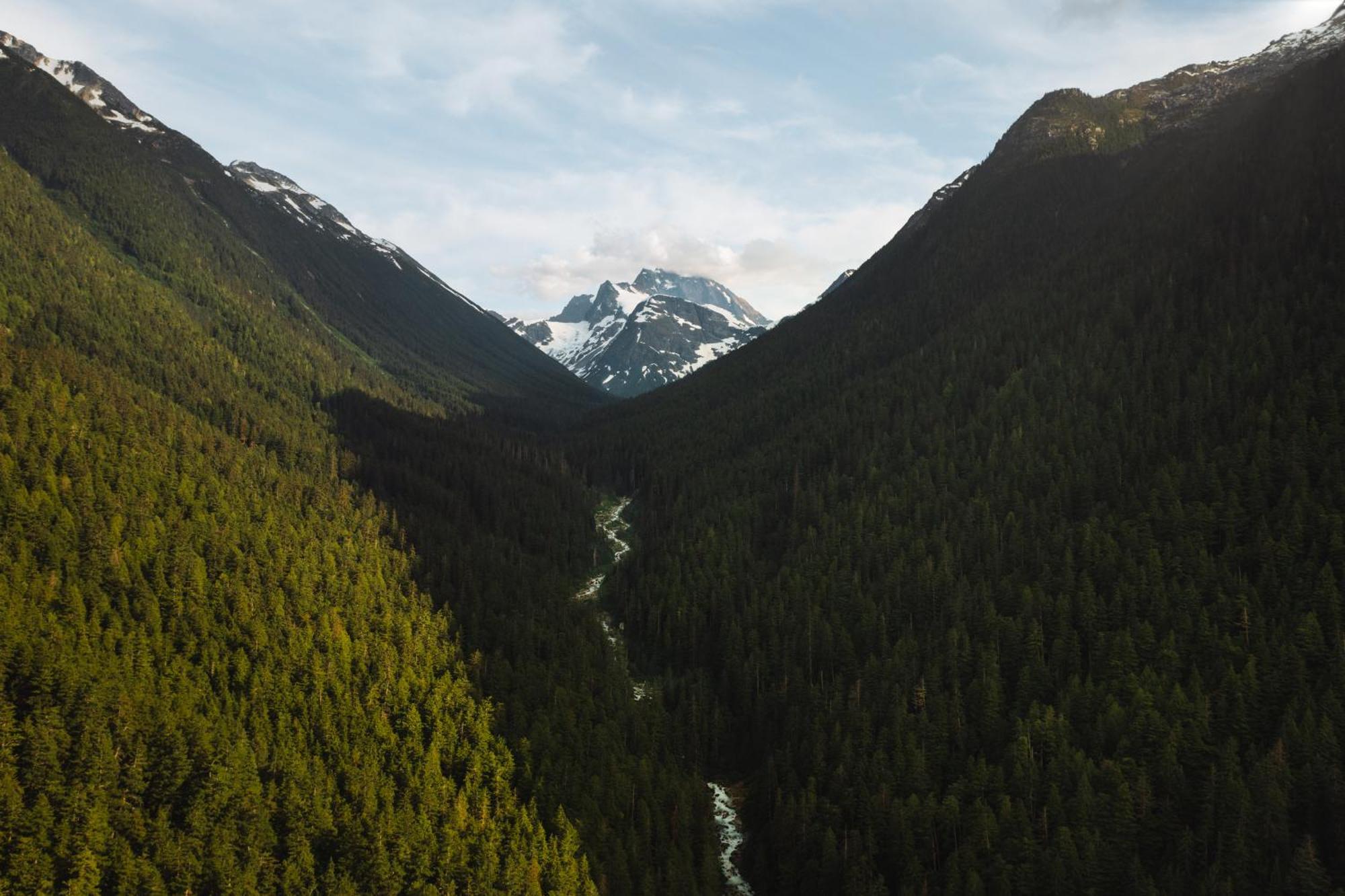 Bella Coola Grizzly Tours And Resort Hagensborg Экстерьер фото