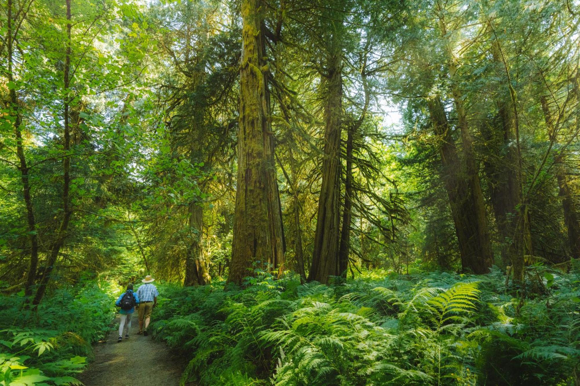 Bella Coola Grizzly Tours And Resort Hagensborg Экстерьер фото