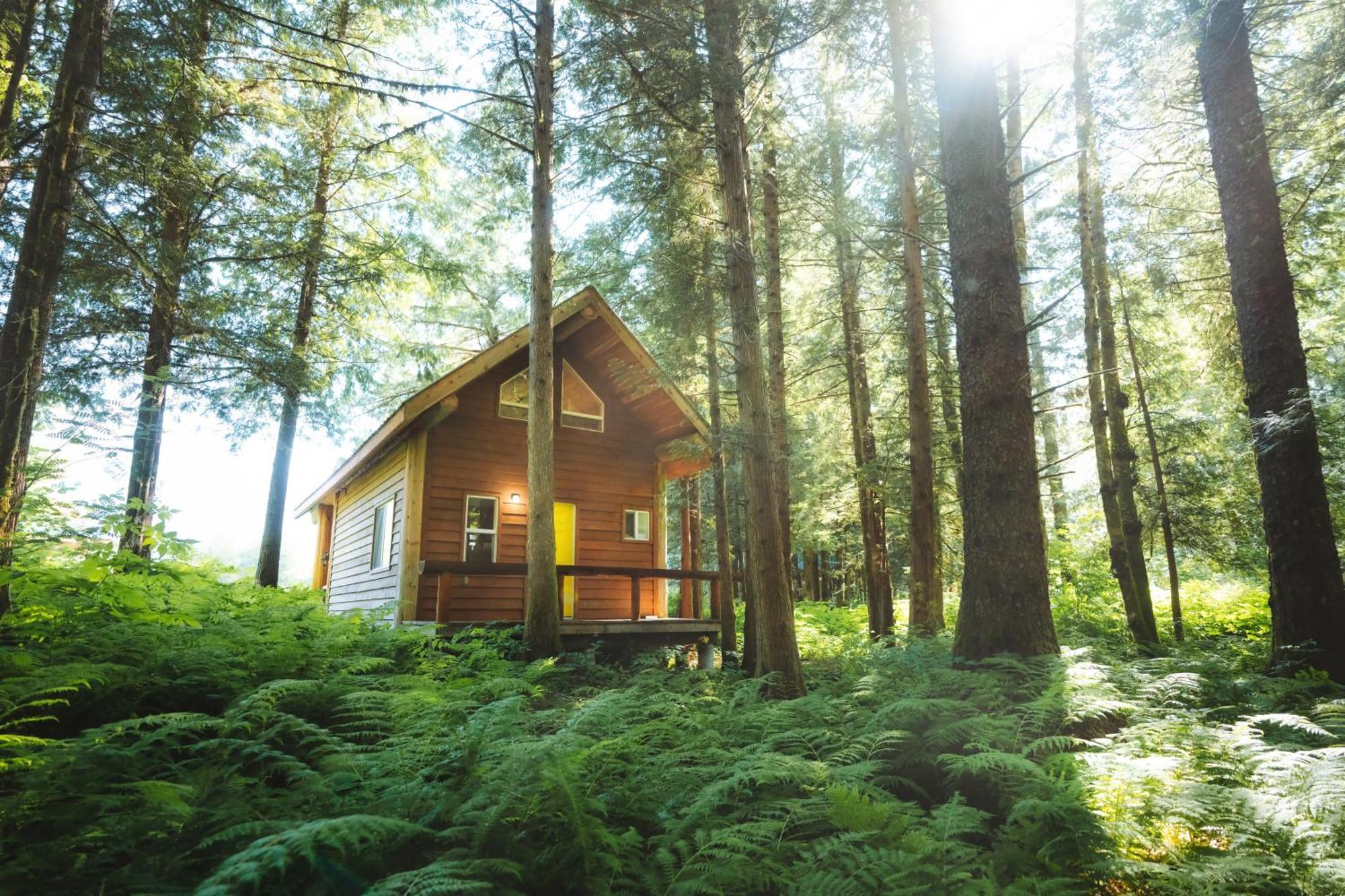 Bella Coola Grizzly Tours And Resort Hagensborg Экстерьер фото